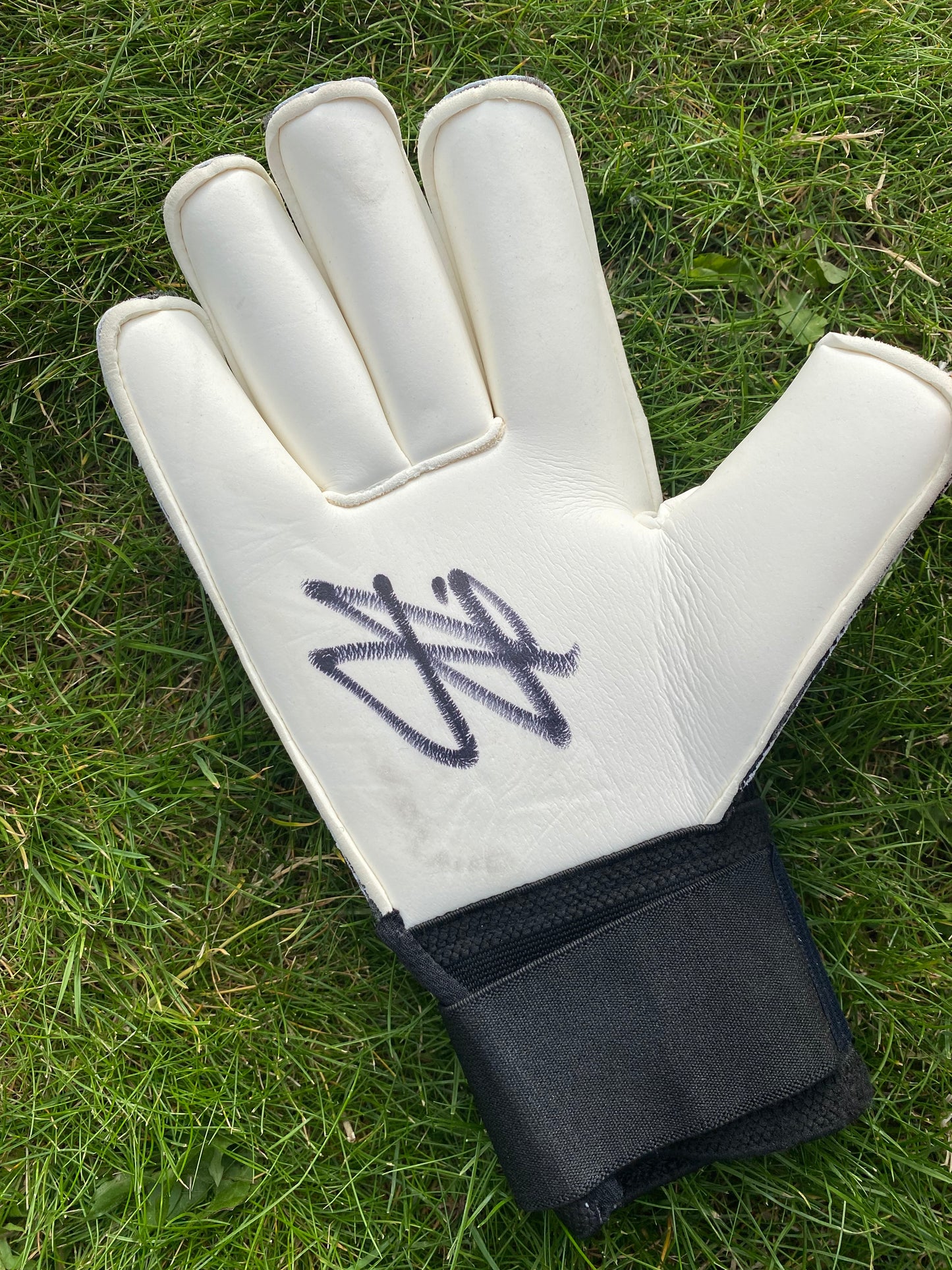 Jordan Pickford- signed goalkeeper glove - Everton, memorabilia, gift,