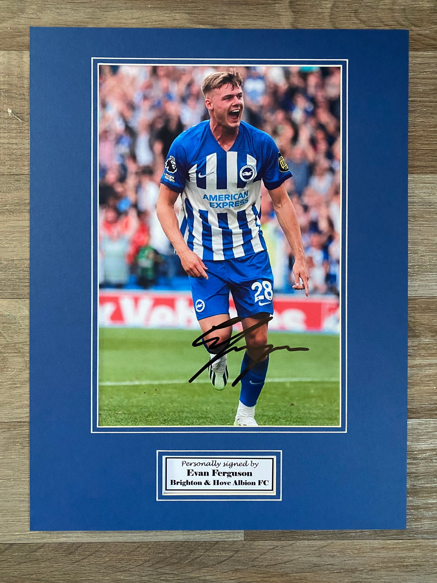 Evan Ferguson |Brighton & Hove Albion - 16x12in signed photo mount-  memorabilia, gift, display (UNFRAMED)