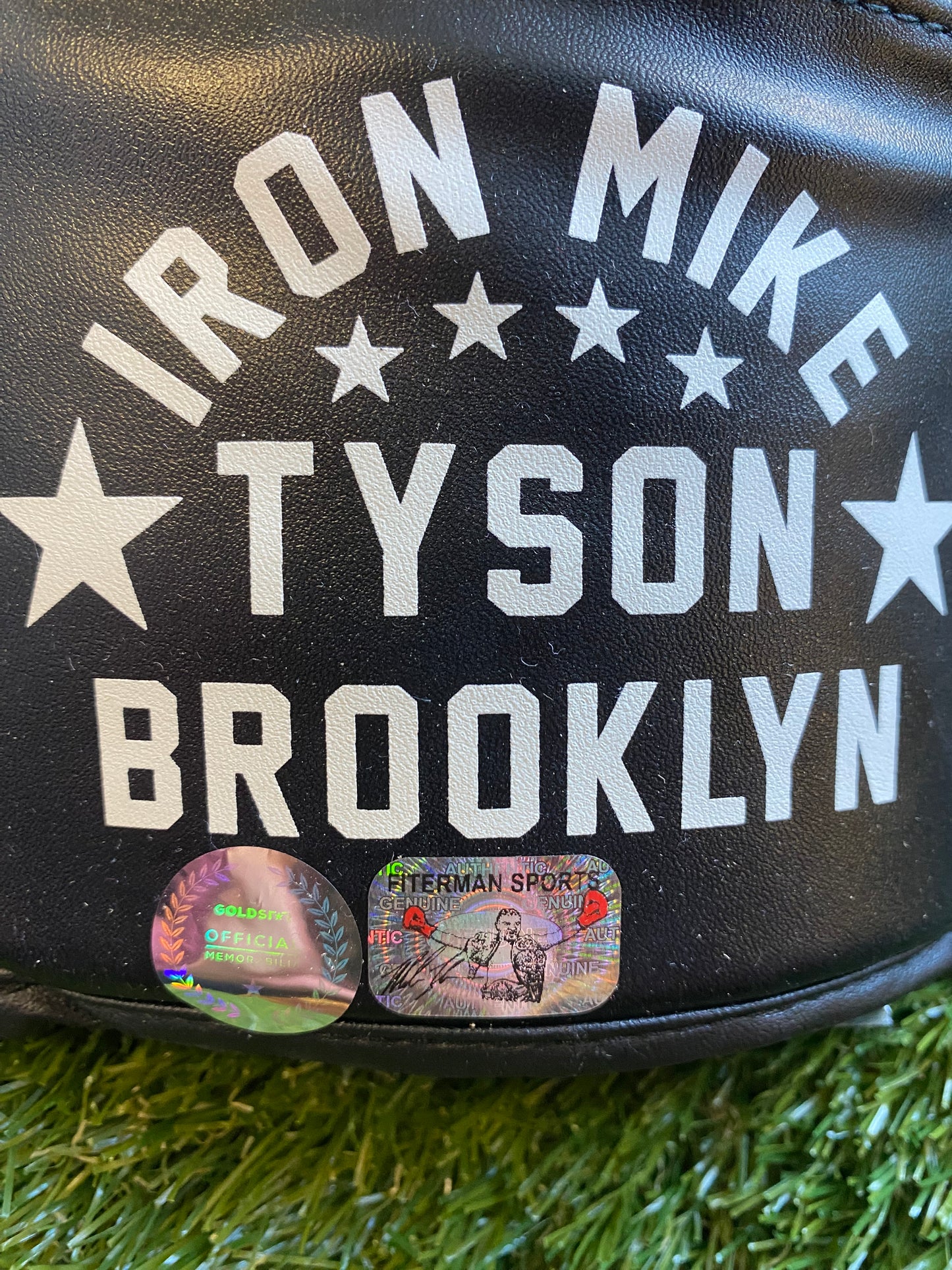 Mike Tyson - signed boxing glove - boxing memorabilia, autograph, gift