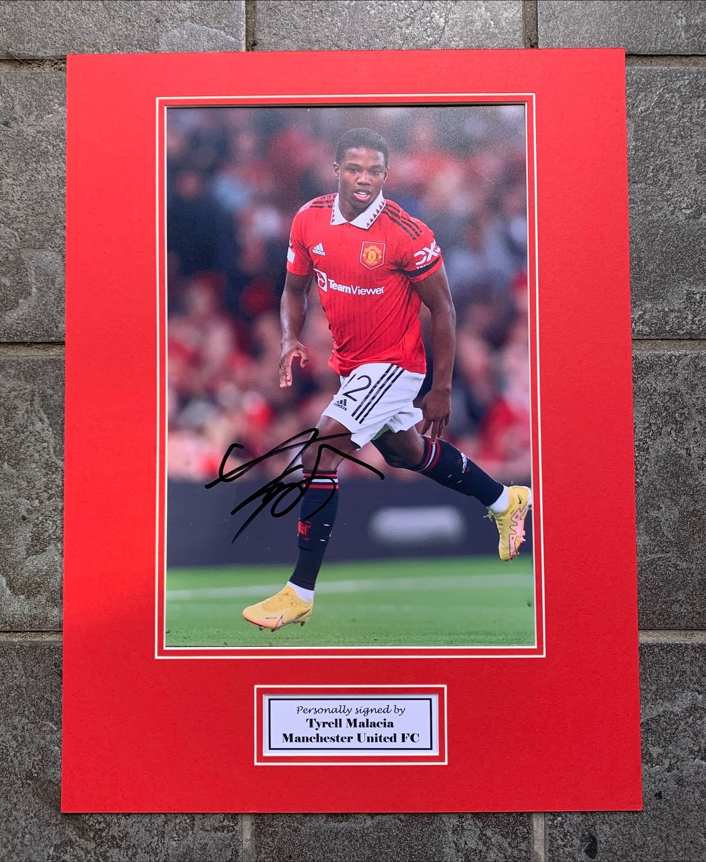 Tyrell Malacia - Manchester United FC - 16x12in signed photo mount - MUFC memorabilia, gift, display