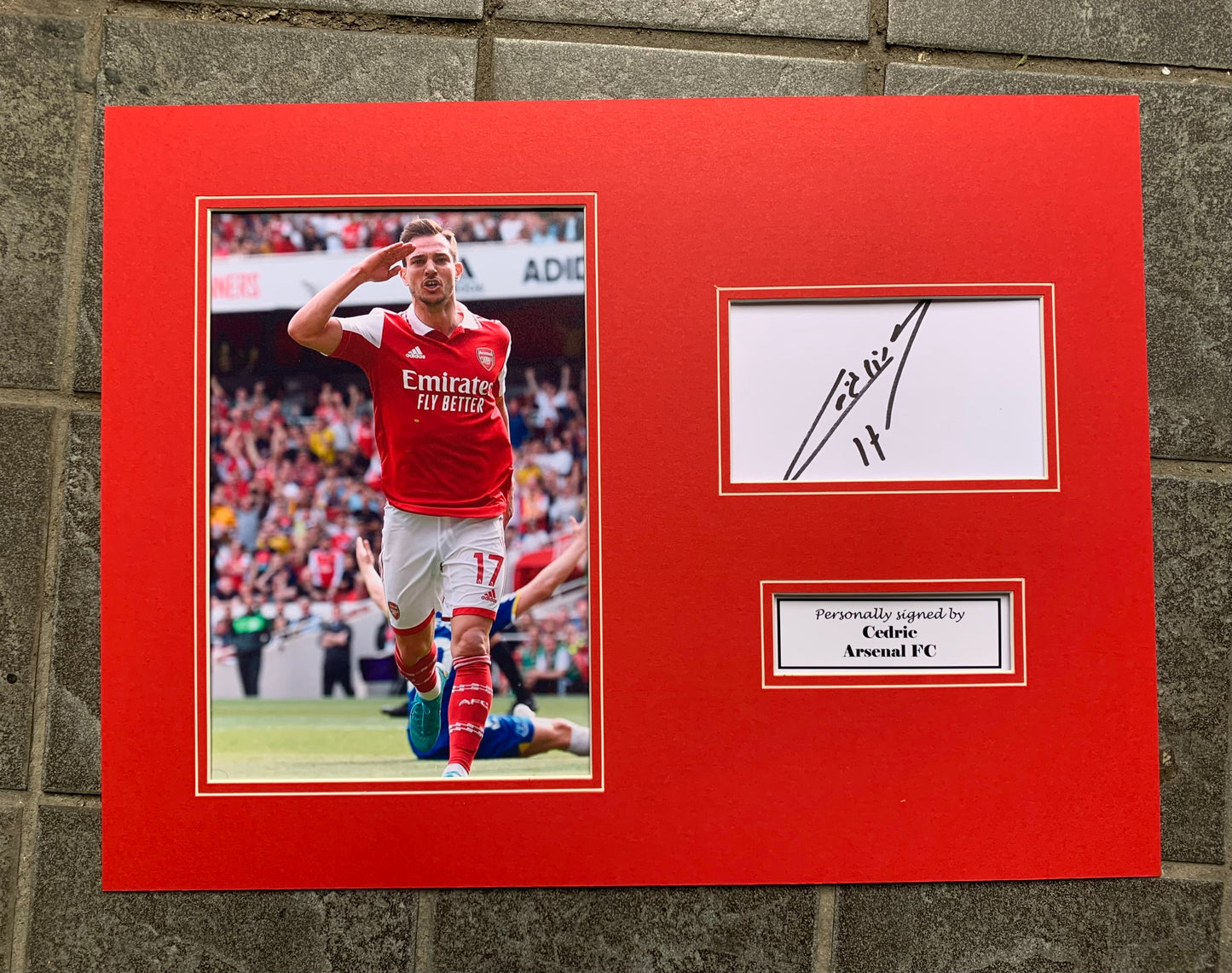 Cedric - Arsenal FC - 16x12in signed photo mount - AFC memorabilia, gift, display (UNFRAMED)