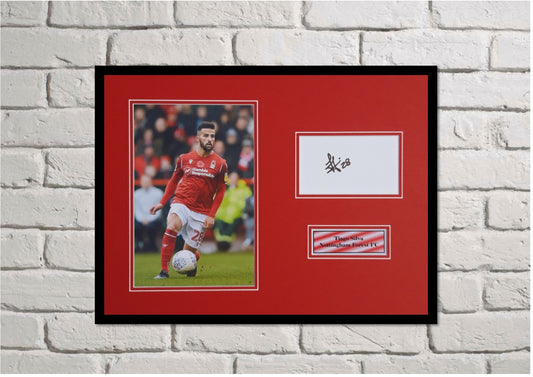 Tiago Silva - Nottingham ForestFC - 16x12in signed photo montage - Nottingham Forest memorabilia, gift, display