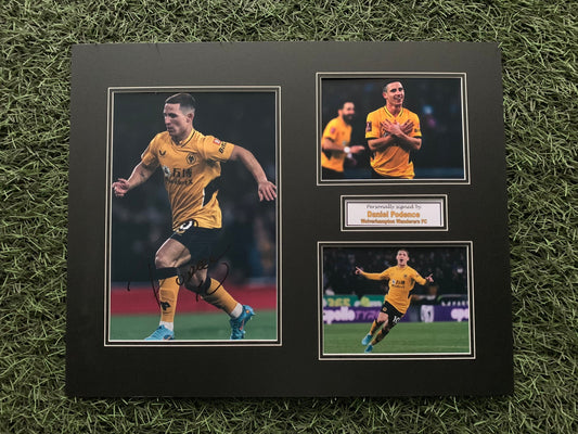 Daniel Podence - Wolverhampton Wanderers - 20x16in signed photo montage - Wolves memorabilia, gift, display