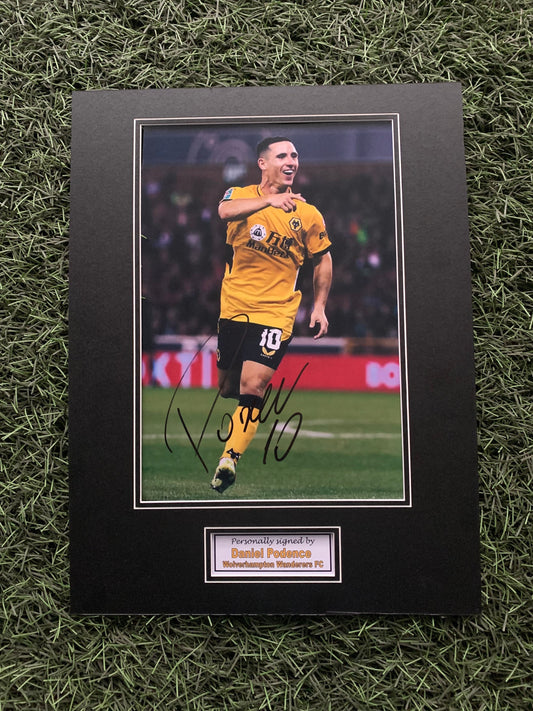 Daniel Podence - Wolverhampton Wanderers - 16x12in signed photo mount - Wolves memorabilia, gift, display