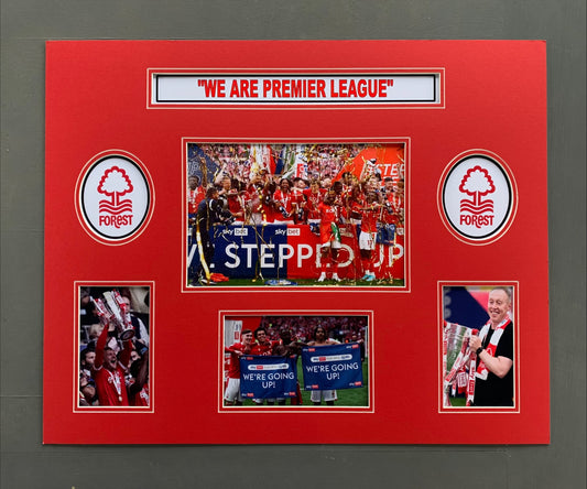 Nottingham Forest FC - "WE ARE PREMIER LEAGUE"  20x16in photo montage - NFFC memorabilia, gift, display, Promotion 2022